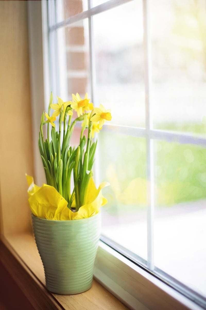 Colorful Potted Arrangements